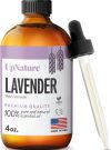 The Ultimate Guide to UpNature Lavender Essential Oil