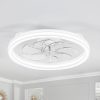 Exploring the 20″ Flush Mount Caged Ceiling Fan: Modern Comfort for Your Space