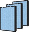 Comprehensive Review of the HSP002 True HEPA Air Filter Replacement