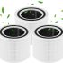 Comprehensive Review of the LEVOIT Vital 100S-P Toxin Absorber Air Purifier Replacement