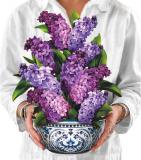 The Art of Gifting with Freshcut Paper’s 3D Pop-Up Cards