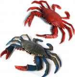 Explore the Fascinating World of Gemini&Genius Crabs Marine Animal Figures