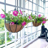 Enhance Your Outdoor Space with Shoplala Wall Hanging Planters