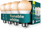 Illuminate Your Space with TREATLIFE Smart Light Bulbs